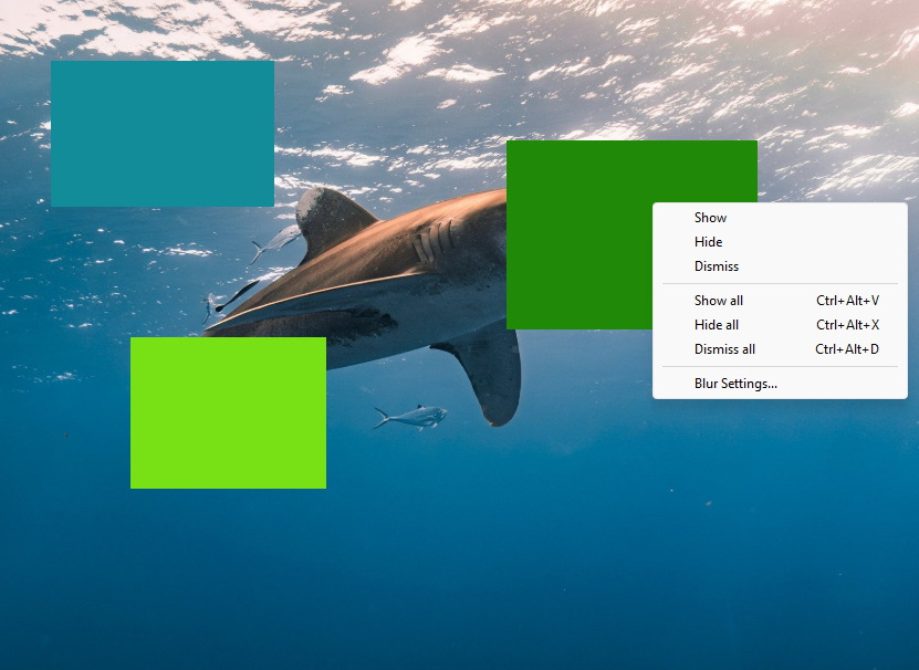 Selective area blurring